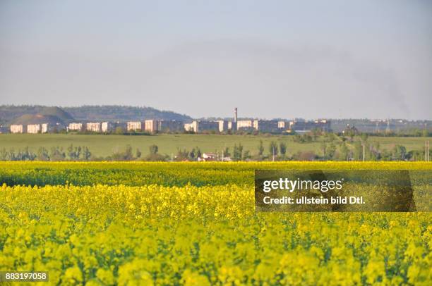 Ukraine, das Donezbecken, Kurzform Donbass, Gebiet Donezk, Gorlowka , Landschaft nahe der Stadt, ein Rapsfeld