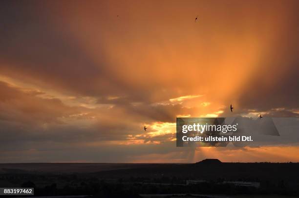 Ukraine, das Donezbecken, Kurzform Donbass, Gebiet Donezk, Gorlowka , Landschaft nahe der Stadt, Silhouette einer Bergehalde, Skyline,...