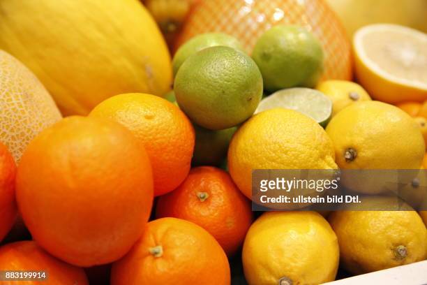 Auswahl an Zitrusfrüchten und Melone