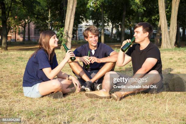 Junge Freunde trinken Bier im Park