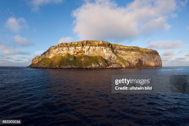 Darwin Island, Galapagos, Ecuador