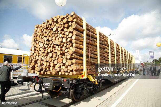 Güterzug mit Holz beladen auf der Innotrans 2016