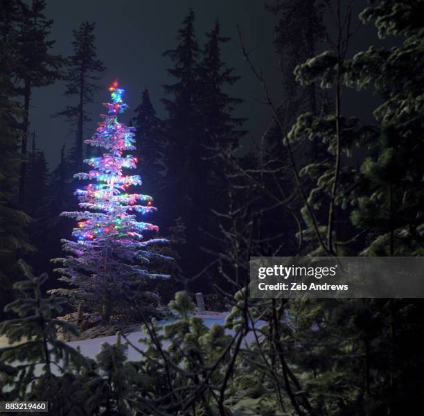evergreen tree in snowy forest decorated for christmas - evergreen forest stock-fotos und bilder
