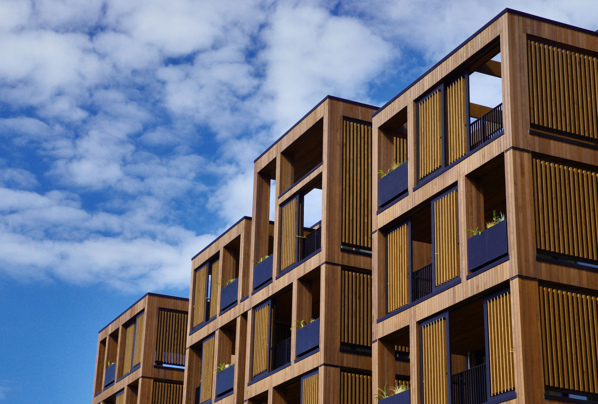 modern architecture new zealand