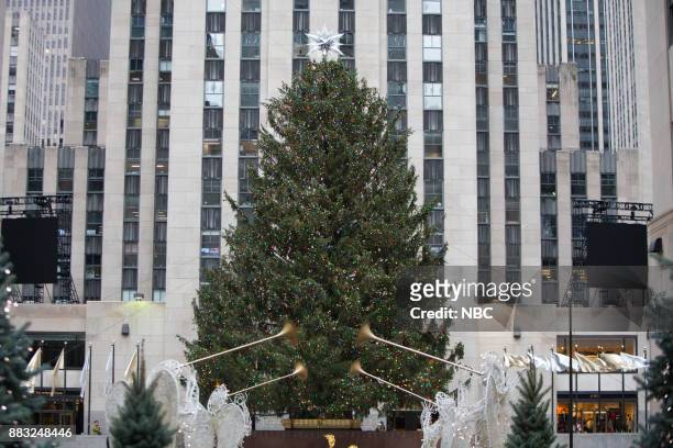 Rockefeller Plaza Christmas Tree on Thursday, November 30, 2017 --