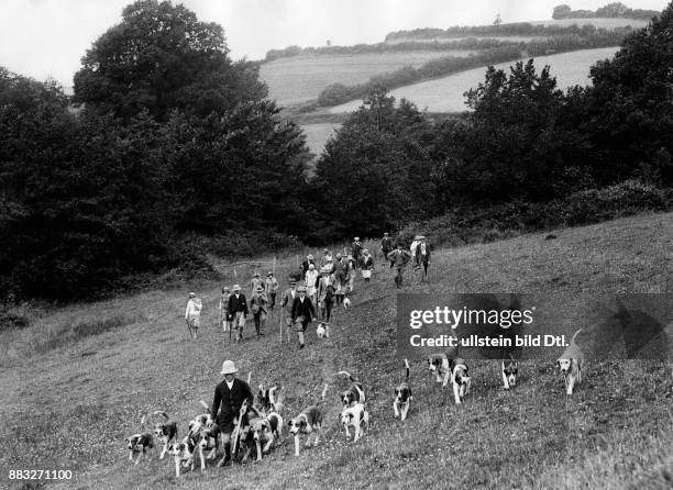 Jäger mit Jagdhunden bei der Otternjagd Originalaufnahme im Archiv von ullstein bild