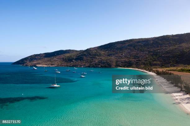 Watsons Bay Lizard Island, Great Barrier Reef, Australia