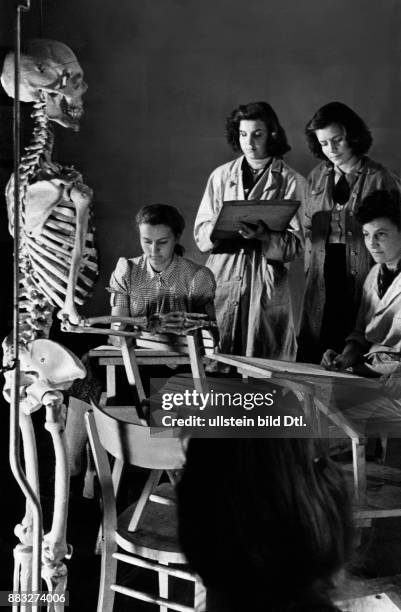 Schülerinnen lernen das Zeichen am Skelett im Atelier der Deutschen Zeichenfilmschule Aufnahme: Hanns Hubmann Originalaufnahme im Archiv von ullstein...