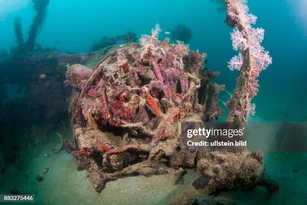 Radial Engine of Dauntless Dive Bomber Wreck, Marovo Lagoon, Solomon Islands