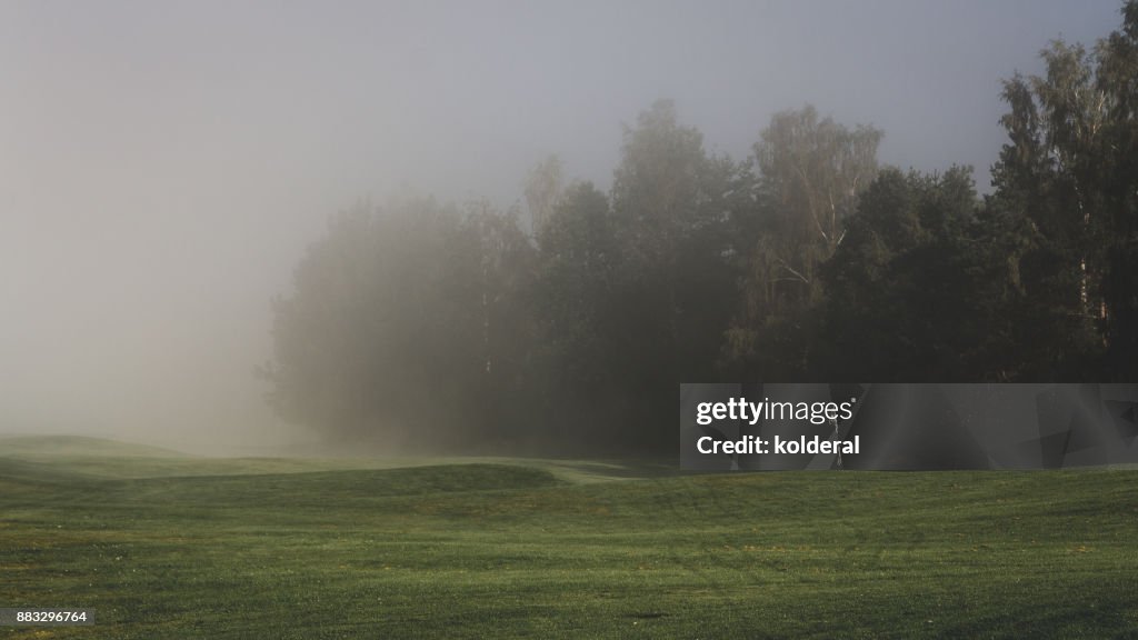 Fog above golf course