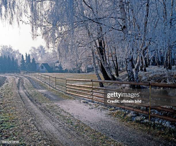Winterlicher Landweg an einer Koppel mit bereiften Baeumen stimmungsvoll im Morgennebel