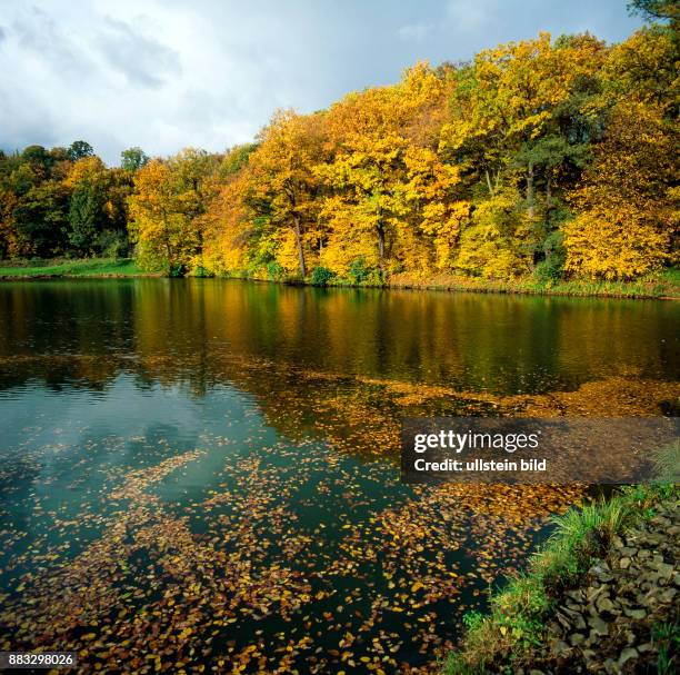 Herbstlich bunt gefaerbte Laubbaeume saeumen einen als Fischteich genutzten idyllischen Waldsee