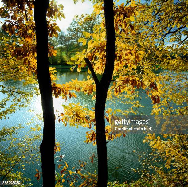 Herbstlich bunt gefaerbte Laubbaeume saeumen einen als Fischteich genutzten idyllischen Waldsee