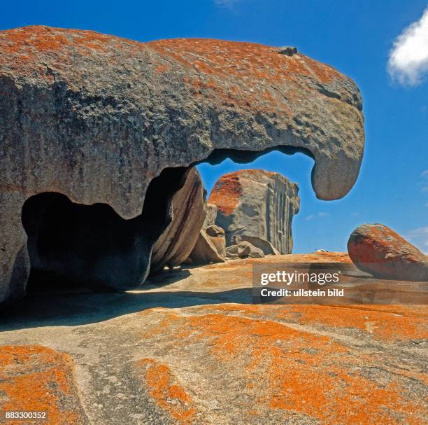 Durch Erosion entstandenes Kunstwerk der Natur, die Remarkable Rocks auf Kangaroo Island in South Australia, rot gefaerbt durch Krustenflechten und...