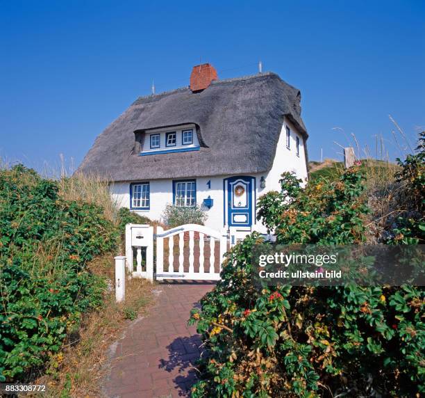 Reetgedecktes Landhaus in Hoernum in der idyllischen Duenenlandschaft im Sueden der Nordseeinsel Sylt in Schleswig-Holstein