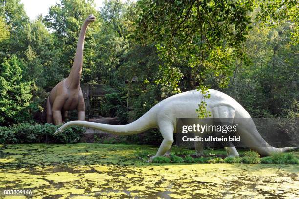 Diplodocus, ein bis 30 m langer Dinosaurier, dahinter Brachiosaurus, das groesste bekannte Landwirbeltier, beide hauptsaechlich Pflanzenfresser,...