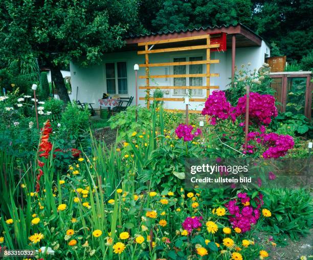 Bunter Blumen und Bluetenstauden in einem naturnahen Kleingarten sind Anziehungspunkt für Insekten und Singvoegel