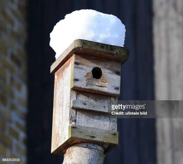 Nistkasten mit Schneekappe im verschneiten Garten bietet Singvoegeln im Winter Unterschlupf