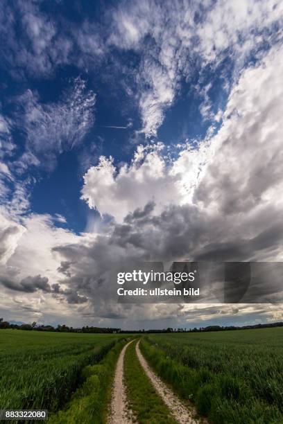 Wolkenstimmung am Himmel. Haufenwolken am Wolkenhimmel