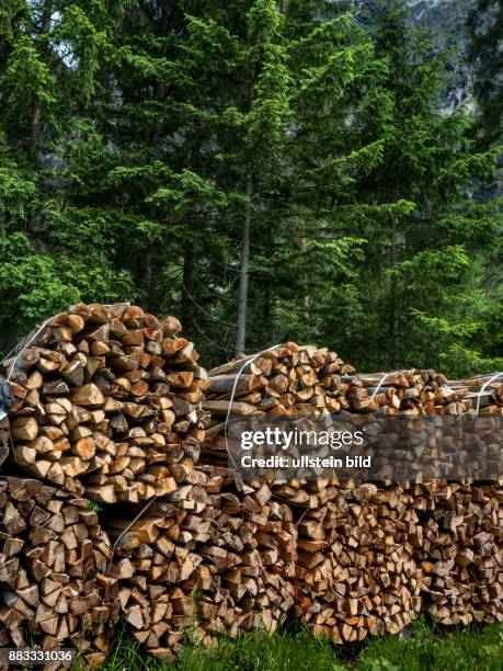 Aufgestapeltes Holz als Brennholz für den Winter