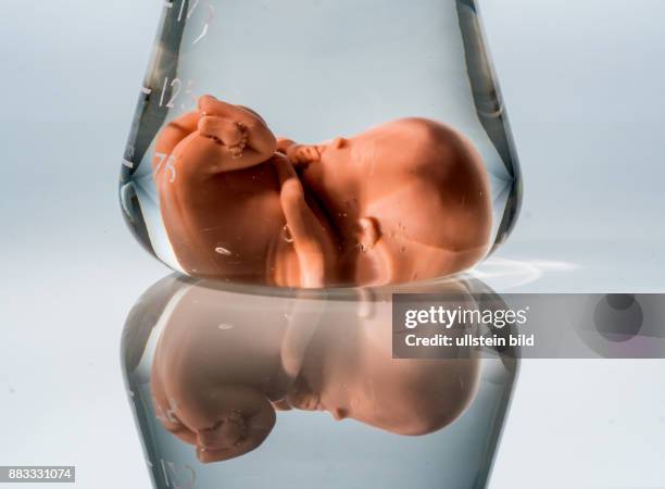 Modell eines Embryos in einem Laborglas. Symbolfoto für Schwangerschaft durch künstliche Befruchtung. Abtreibung und Genmanipulation