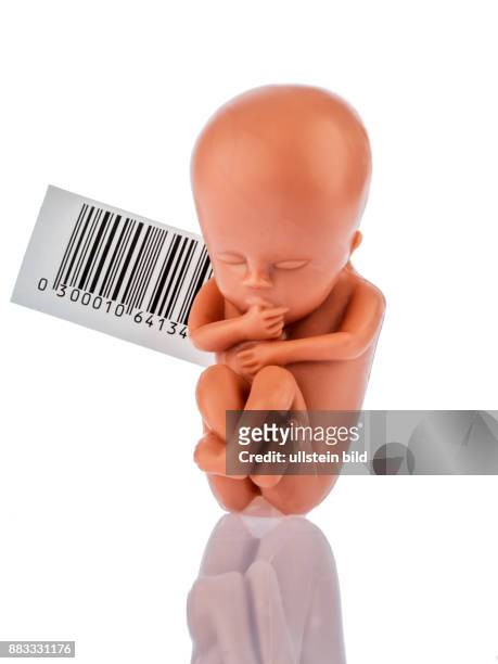 Ein 12-Wochen alter Emybro aus Plastik mit Strichcode. Modell für Leihmutter, Gentechnik und künstliche Befruchtung