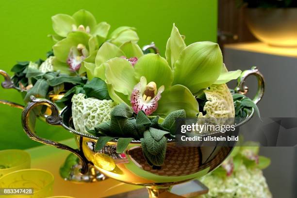 Deutschland, Berlin, Blumenausstellung beim Floristen FLORALE WELTEN, Blumenarrangement mit Orchideen, Salbei und Kohl in einer Silberschale