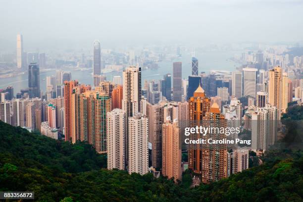 hong kong, the view from victoria peak. - caroline pang stock-fotos und bilder