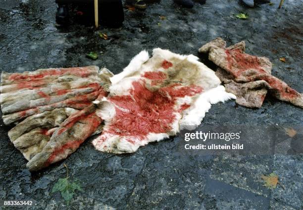 Protest gegen die Pelzmode: mit roter Farbe beschmierte Pelze auf dem Bürgersteig - Berlin, Kurfürstendamm / Ecke Meinekestrasse