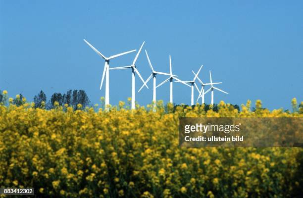 Windkrafträder in einer langen Reihe in Schleswig-Holstein. Im Vordergrund ein Feld mit blühendem Raps Alternative Energie; Windenergie; Windrad;...