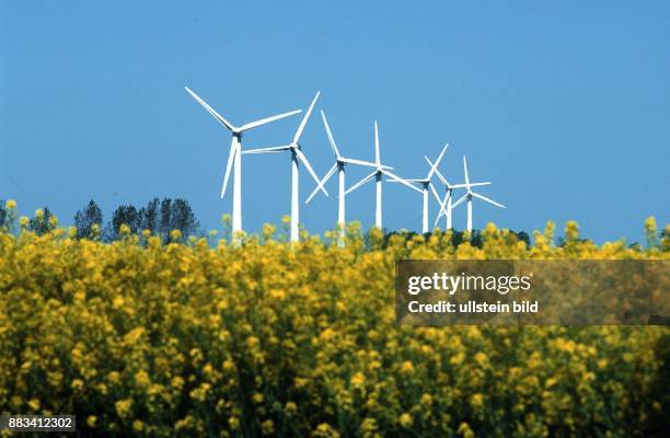 Windkrafträder in einer langen Reihe in Schleswig-Holstein. Im Vordergrund ein Feld mit blühendem Raps Alternative Energie; Windenergie; Windrad;...