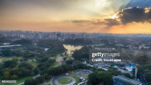 aerial view - sao paulo - ibirapuera park stockfoto's en -beelden