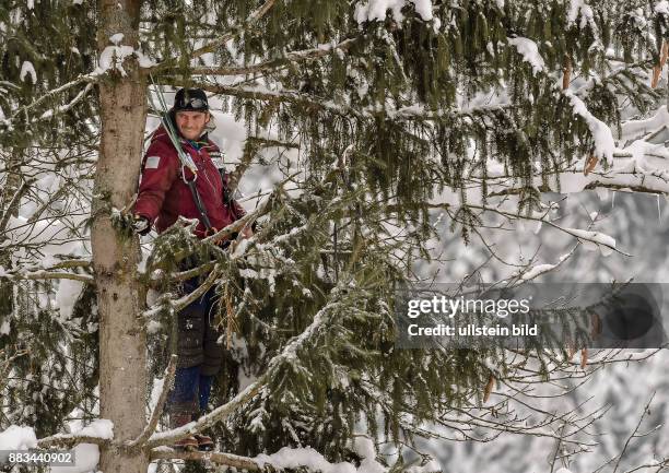 EIn Norwegischer Trainer macht es sich in einem Baum bequem um eine bessere Sicht auf die Strecke zu haben, waehrend dem 2. Trainingslauf zur 76. FIS...