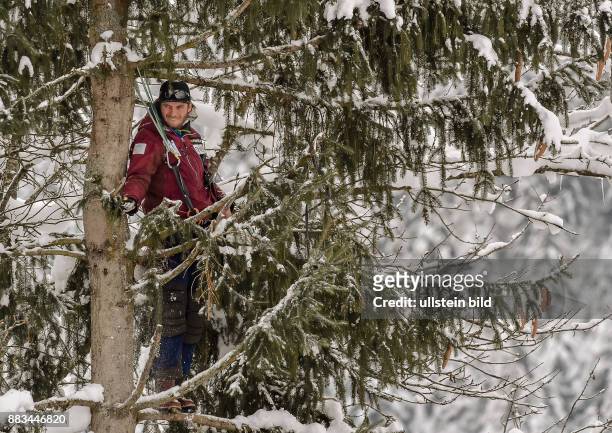 Ein Norwegischer Trainer macht es sich in einem Baum bequem um eine bessere Sicht auf die Strecke zu haben, waehrend dem 2. Trainingslauf zum 76. FIS...