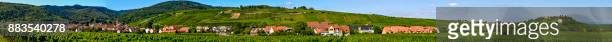 Ensisheim, Vine Growing Region Alsace, France