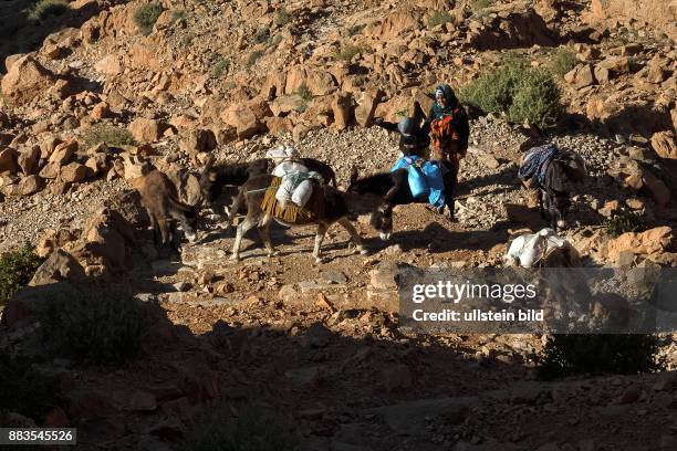 Todra Schlucht, Tinghir, Marokko, Weg zum Plateau, Nomaden < englisch> Todgha Gorge, Tinghir, Morocco, Nomads