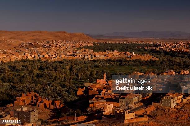 Todra Schlucht, Tinghir, Marokko, Flussoase, Palmen< englisch> Todra Gorge, Tinghir, Morocco, oasis, Palmtrees