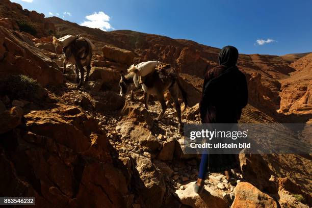 Todra Schlucht, Tinghir, Marokko, Weg zum Plateau, Nomaden, Maedchen < englisch> Todgha Gorge, Tinghir, Morocco, nomad girl