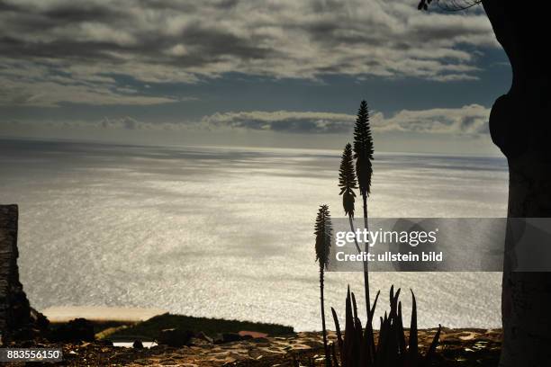 Spain, Canary Islands, La Palma: In spite of its vulcanic origin - like all Canary Islands- is La Palma very green. Overlooking the Atlantic Ocean in...