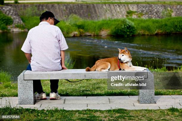 Man on a bench with a Shiba dog at the Kamo River.