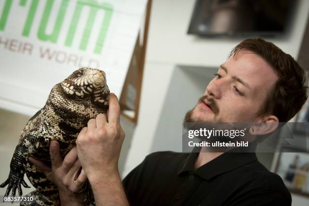 Man holding an Argentine black and white tegu at the EXPO day at Petco park San Diego.