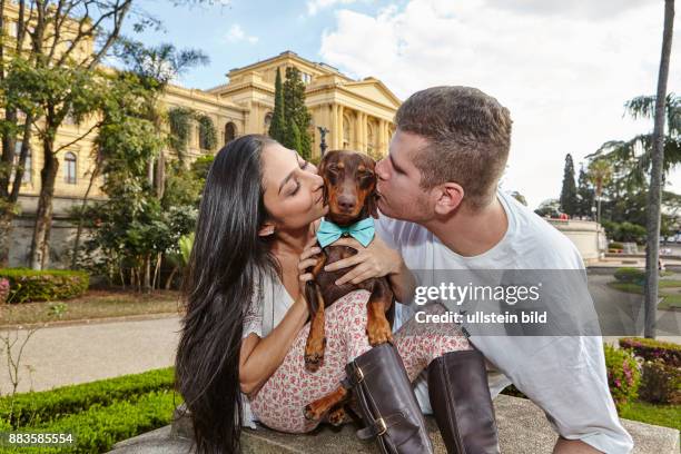 People, couple, young man, young woman, kissing a dog, dachshund, wire-haired dachshund