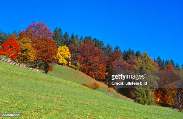 Landscape, Alto Adige, South Tyrol, Salten, mountains, autum, Salto