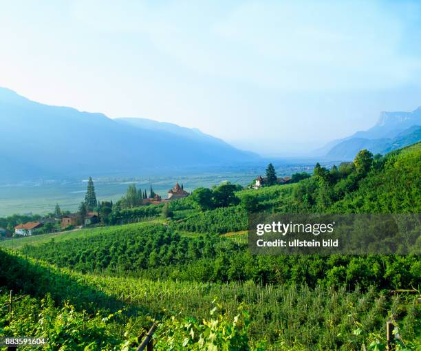 South Tyrol; Alto Adige; landscape;Burgraviato, Merano, Lana, Cermes