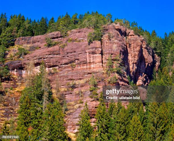 South Tyrol; Alto Adige; landscape;Salto, Verano