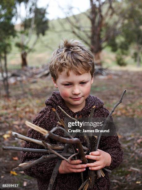 young boy in woods with a bunch of sticks  - holzstock stock-fotos und bilder