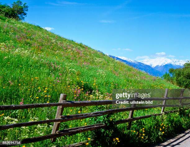 South Tyrol; Alto Adige; landscape; Burgraviato; Parcines, maso Quadrato