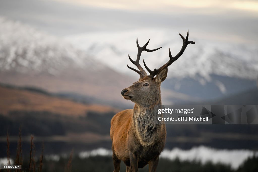 Winter Scenes In Glen Coe