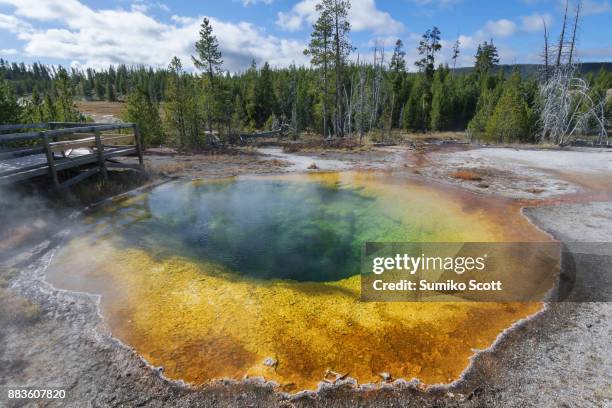 morning glory pool in upper geyser basin, yellowstone national park, wy - algue bleue photos et images de collection