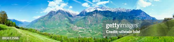 South Tyrol; Alto Adige; landscape; Burgraviato; Parcines, maso Quadrato,gruppo Tessa, cima di Tel, Cigot, Gigot, cima Muta, Flower meadow, dandelion